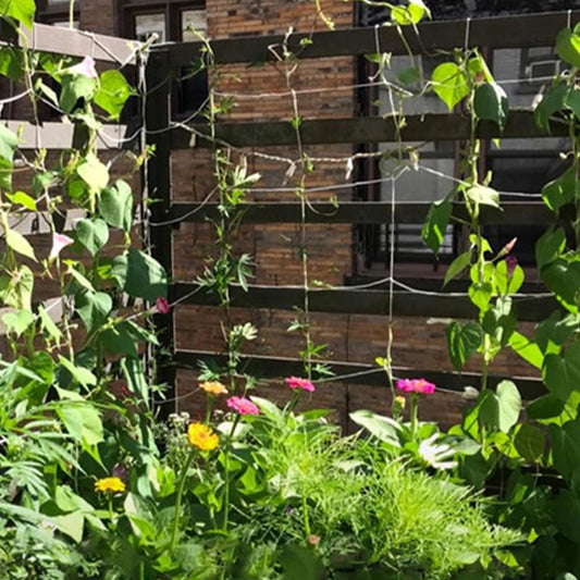 48 x 96 Inches Plant Climbing Net Square Grid Trellis Netting for Climbing Plants Garden Vining Support White