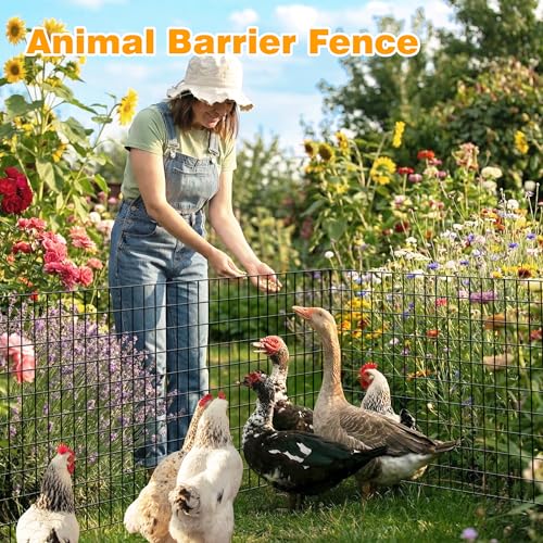 Black PVC Coated Welded Wire Fencing, 60in High x 100ft Long, 2 inch x 4 inch 14GA 2/3/4/5/6 Ft Tall Welded Wire Fence Rolls, Black Metal Garden Fence Wire Roll Garden Fencing for Yard - color: Black, size: 2"x4" 14GA 60" x 100'