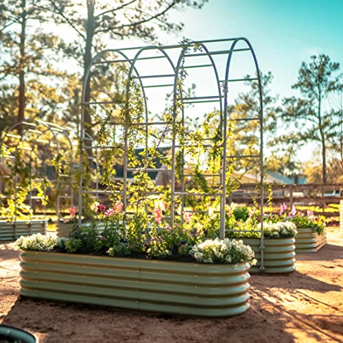 Vego Garden Modular Arched Trellis System 4.5' Long Trellis for 2.0' x 6.5' or 3.5' x 6.5' or 2.0' x 8.0' Garden Bed for Climbing Plants like Cucumber Beans Tomatoes & Vines (Garden Beds Not Included) - size: 4.5 Ft Long