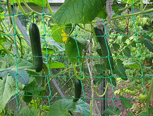 Trellis Netting for Climbing Plants - Heavy Duty Garden Trellis Netting for Cucumber, Vine, Fruits & Vegetables Tomato Plants Trellis Net, Climbing Vining Plants (1-Pack 16.4' x 6.6'Ft) - size: 16.4' x 6.6'Ft