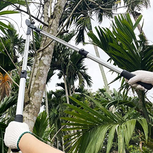 26-41 Inch Extendable Anvil Loppers, Sync Drive Leverage Tree Trimmers, Telescopic Pruners Heavy Duty, 2 Inch Cutting Capacity