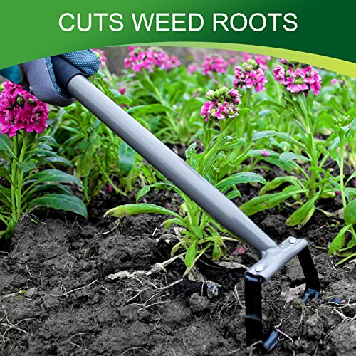 Walensee Stirrup Hoe,Garden Hand Scuffle Hoe for Weeding and Soil Loosening