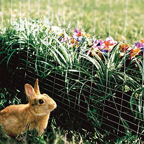 YARDGARD 2 in. x 3 in. Mesh Welded Wire Fence Roll, 48 in. x 50 ft., 16 Gauge Galvanized Steel Fence for Animal Enclosures, Garden Protection and Property Fencing - size: 48 in. x 50 ft.