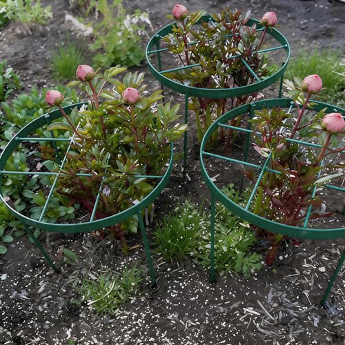 23.6" Plant Supports for Peonies - Metal Brace for Tall Plants - color: Green, size: 23.6"x18.9"