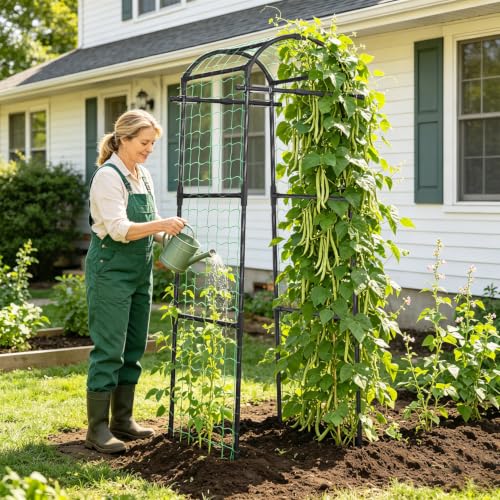 6.8FT Metal Garden Arch Trellis for Climbing Plants Outdoor (32×32×81in) - size: 32"L x 32"W x 81"H