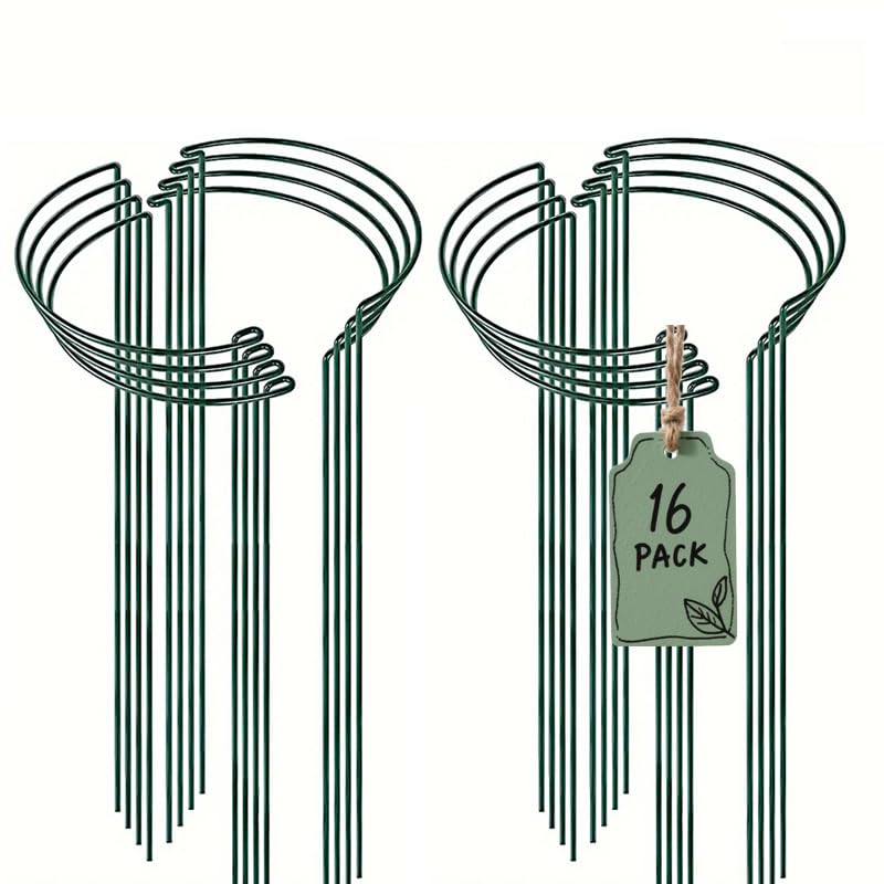 Plant Support Stake 24 inches, semi-Circular Metal Garden Stake Plant Support for Peony cage and Support, Green Plant Support Ring Frame for Outdoor and Indoor Plants (12, Dark Green)