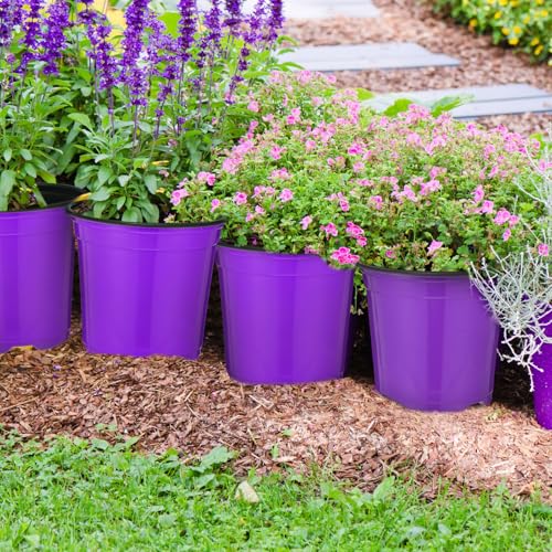 Havawish 150 Pcs 4 Inch Nursery Pots with Drainage Holes, Purple - color: Purple