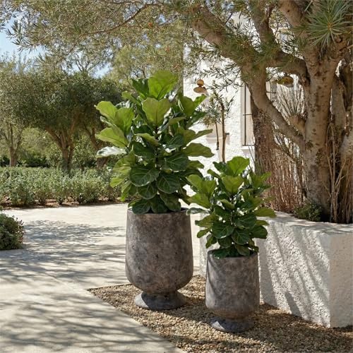 SAFAVIEH Outdoor - Stark Planter Pot with Drainage - Antique Brown Ficonstone Cement - Weather Resistant - Ideal for Patio, Garden, Backyard, 12" Wx 12" D x 18.9" H (PAT1551A) - color: Antique Brown