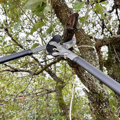 YRTSH Loppers for Tree Trimming Heavy Duty Branch Cutter,2" Cut Capacity - style: Lopper 32 Inch