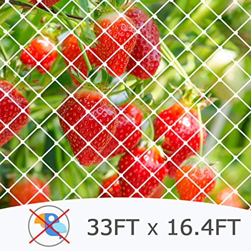 Coolrunner Anti-Bird Netting, 33FT x 16.4FT Bird Net, Nylon Garden Netting
