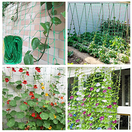 Garden Nylon Mesh Plant Support Trellis Netting Plant Climbing Net for Flower Fruits Vegetables Tomato Plants 5.9Ft x 11.8Ft - size: 5.9Ft x 11.8Ft