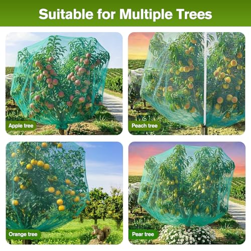 KEOHOLI 12FTx12FT Green Large Fruit Tree Netting Reusable Durable Mesh Cover with Zipper and Drawstring for Fruit Tree Protection Cover from Birds Cicadas Squirrels and Insects - size: 12*12ft (1Pack, Green)
