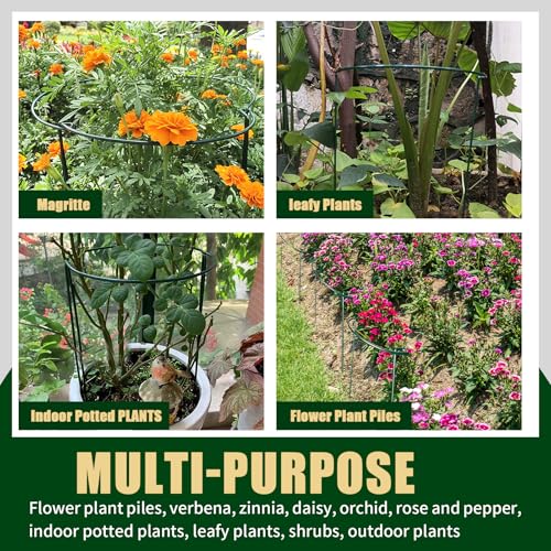 Plant Support Stakes 12 Pack 10" W x 24" H, Half Round Garden Stake, Metal Ring Border, Green Peony Cages and Supports for Tomato Hydrangea Flower Outdoor - size: 12pack 10inx24in