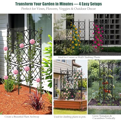 WellSign Garden Trellis for Climbing Plants Outdoor 63 Inch Iron Pipe - color: Black