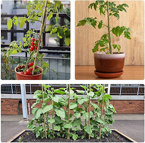 Jollybower 15pcs 3/4" D Thicker Heavy Duty Bamboo Stakes, 7FT Plant Stakes, Natural Garden Stakes for Tomato, Bean, Flowers,Trees Potted and Climbing Plant Support - size: 7Ft, Pack of 15