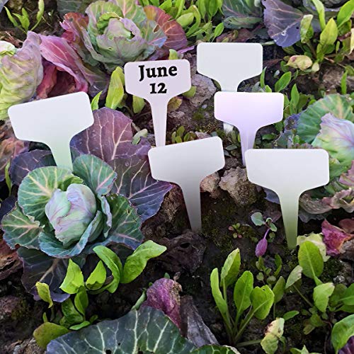 eZAKKA Plant Labels, 500 pcs Plastic Plant Tags T-Type Nursery Garden Labels Markers, 6x10cm / 2.4"x 4"