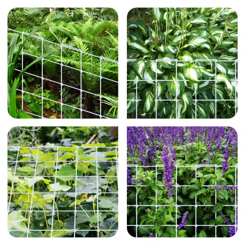 iPower 4' x 4' Trellis Netting for 59"x59", Heavy-Duty Elastic Plant Net with Hooks, Flexible Hydroponics Support for Climbing Plants, Vegetables, Fruits, Flowers, Vines, 2Pack