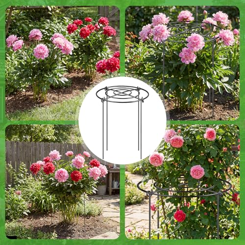 Peony Cages and Supports 8 Pack, 12x16 Inch Heavy Duty Metal Plant Cage for Outdoor Plants – Grow Through Flower Support Rings for Peonies, Roses, Tomatoes & Hydrangeas - size: 8.1PACK-12*16inch