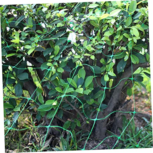 YARNOW Plant Climbing Net Green, Trellis Netting for Climbing Plants Vegetables Fruits, Ideal for Outdoor Vertical Horizontal Use