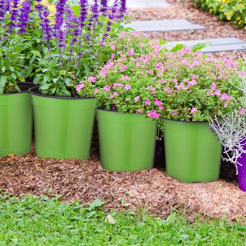 Havawish 150 Pcs 4 Inch Nursery Pots with Drainage Holes, Green - color: Green