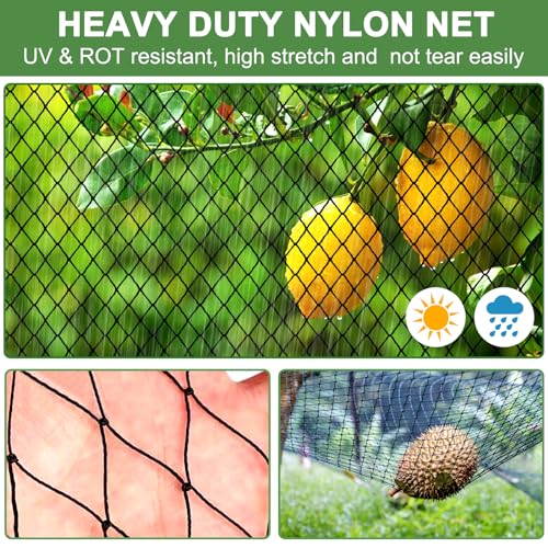 DQS Bird Netting 50' x 50', 2.4" Square Mesh Garden Netting, Poultry Net - size: 2.4", 50' x50'