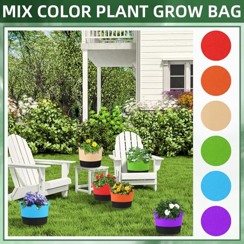 12 Pack 5 Gallon Grow Bags Colorful Fabric Plant Pots with Handles 5 Gal Garden Grow Bags Fabric Grow Pots Plant Growing Bags Vegetable Planting Bags for Garden and Outdoor (5 Gallon) - size: 5 Gallon