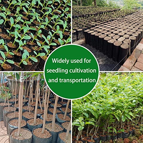 Belit 100 Pcs Plant Nursery Bags, Plastic Seedling Pots Container for Fruit Tree, Flower, Starting saplings, Plant Grow(3.5"x7.6") - size: 3.5"x7.6"