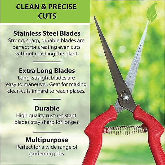 Garden Guru Straight Stainless Steel Pruner Pruning Shears Clippers Snips Sharp Bonsai Cutter Plant Trimming Scissor Straight Blade Garden Scissors Tool -Great for Roses Flowers Herbs Fruits (4 Pack) - size: 4 Pack, style: Snips