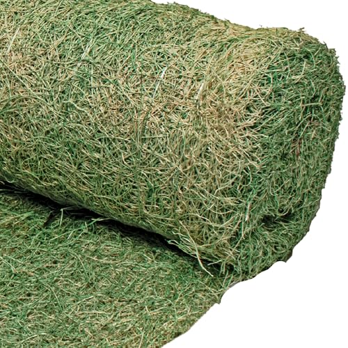 Dewitt Single Net Excelsior Erosion Control Blanket, 4x112.5 Ft, Green - size: 1 Roll
