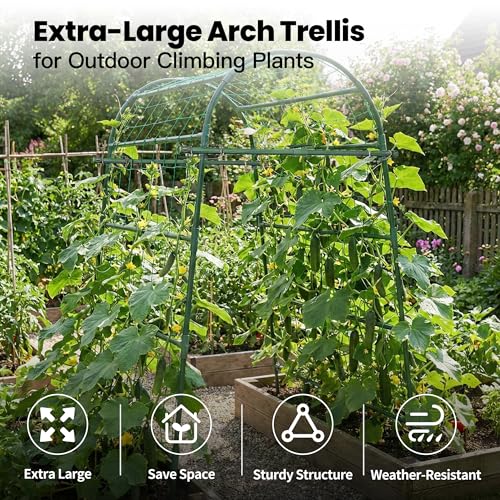 Garden Arch Trellis for Climbing Plants Outdoor, 7 Ft Tall Cucumber Trellis - size: 31.5"L x 50"W x 84"H - Arch Trellis