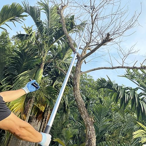 2-in-1 Manual Telescopic Tree Pruner & Pole Saw