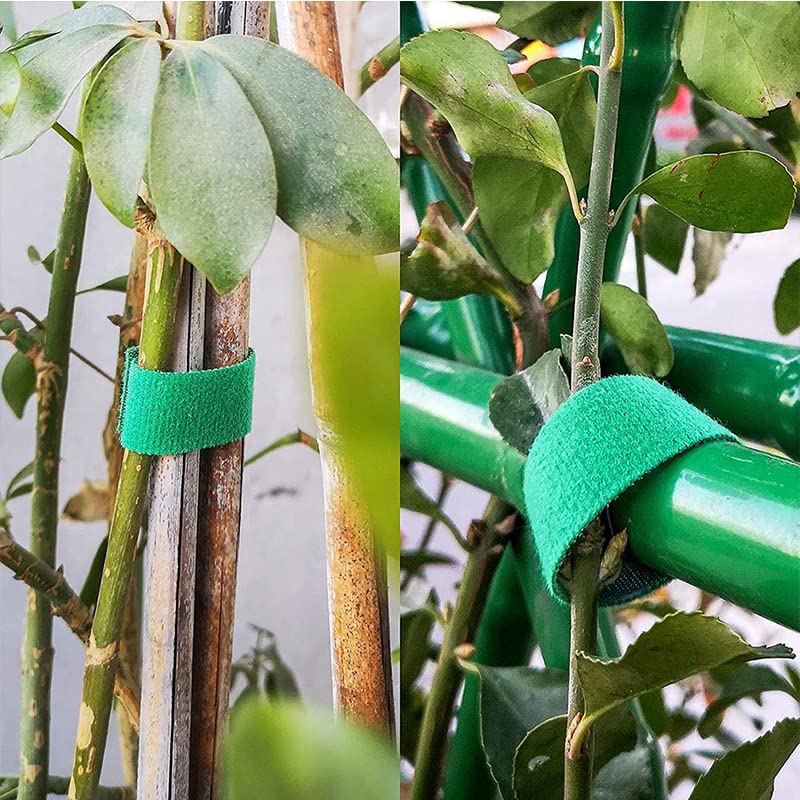 4 Rolls Plant Tape, Reusable Garden Ties for Climbing Plants, for Outdoor Houseplants