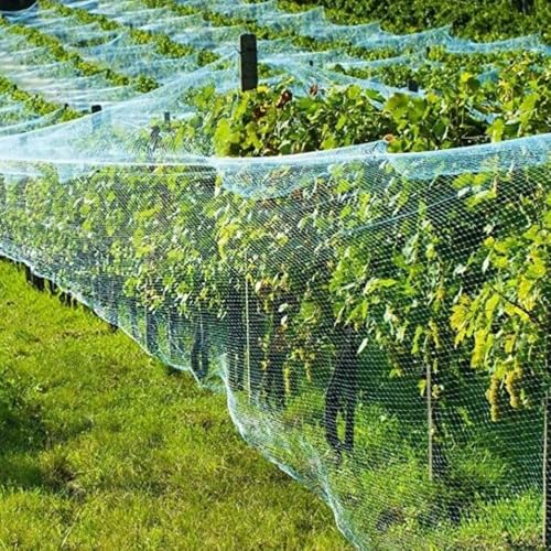 Bird Garden Netting - 6.5FT * 16.5T Heavy Duty Bird & Animal Protection for Plants, Fruits, and Vegetables - size: 6.5*16.5FT