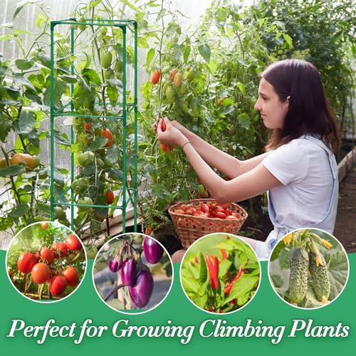 3 Pack Tomato Cage for Garden, Upgraded Fiberglass Garden Trellis with 3 PCS Grow Bags, Square Tomato Planter Support Garden Cages for Cucumber Vegetables Vertical Climbing Plants - color: 3 Tomato Cages + Bag