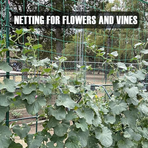 Trellis Netting, Heavy-Duty Garden Grow Netting for Climbing Plants, Outdoor Indoor Net for Cucumber, Tomatoes, Beans, Clematis, Fruits & Vegetables, Climbing Vining Plants (32.8' x 6.6'Ft) - size: 32.8' x 6.6'Ft