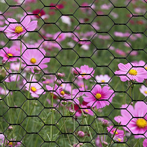 PVC Hexagonal Poultry Netting Chicken Wire 48" x25' x 1" Mesh 20GA Black - size: 48"x25'-1" 20GA