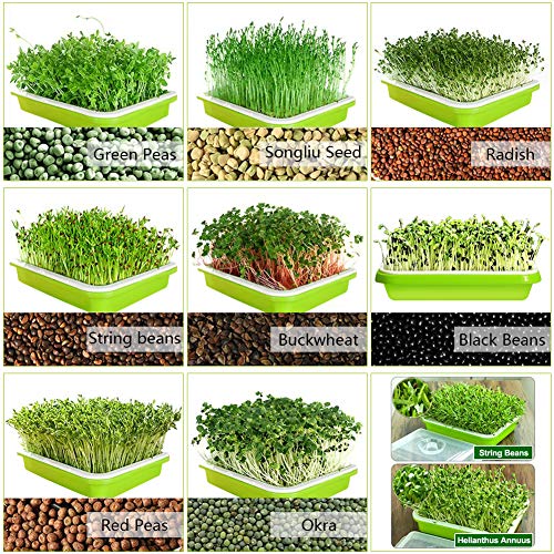 SUNPRO 2-Pack Seed Sprouter Tray with Humidity Lid, BPA Free Food Grade Soil-Free Sprouting Kit, Large Capacity Wheatgrass Grower & Microgreens Germination Station for Beans, Peas, Cat Grass (Green)