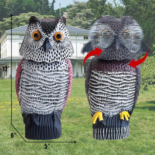 Owl Decoy to Scare Birds Away Scarecrow Fake Owl with Rotating Head (2 Pk) - color: Set a