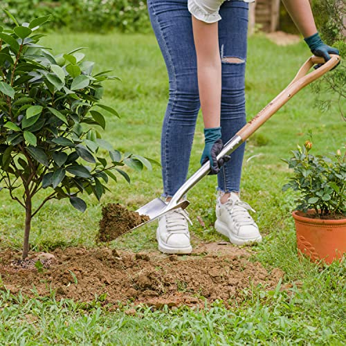 Berry&Bird Trenching Shovel, Garden Drain Spade Shovel with Wood Handle, 42.5" Stainless Steel Gardening Planting Spade, Heavy Duty Root Cutter Shovel Trench Shovel for Digging Transplanting & Edging - color: Trenching Shovel, size: 42.5 inch