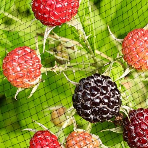 Garden Netting, 15ft x 50ft Black Bird Netting Heavy Duty,Rabbit,Squirrels,Anti Birds,Larger Bees,Deer,Chicken,Cardinals,Animal Fencing for Fruit Tree & Vegetable Garden - size: 15ft x 50ft