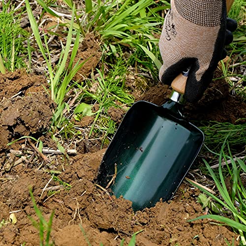 Garden Helper Soil Scoop Garden Tool, Large Loose Soil Scooper Tool for Transplanting and Gardening, Heavy Duty Japanese Steel Balde, Wood Handle, Made in Japan - style: Soil Scoop