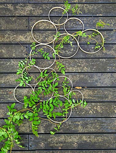 RISEON Boho Vintage DIY 13 PCS Bamboo Wall Trellis Set,Minimalist Plant Display Vertical Garden for Climbing Plants Potted Vines Vegetables Vining Flowers