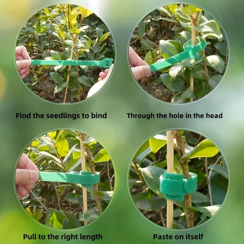 Adjustable Reusable Nylon Plant Ties with Metal Eyelets, Anti-Slip Garden Straps for Climbing Vegetables and Flower Fixing (green) - color: Green
