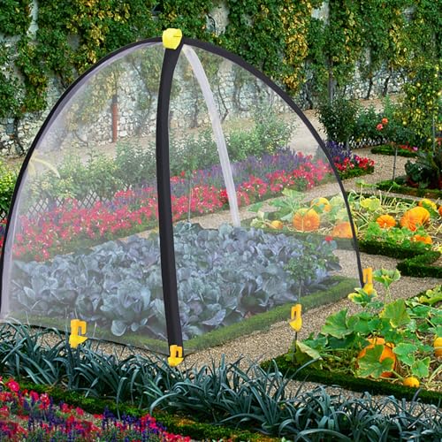 PURPLE STAR 1N 35 x35 x 39 Inch Insect Barrier Plant Tent Cover-Insect Bird Barrier Netting Mesh-Bug Guard Cover with Stakes for Protect Plants Fruits from Insect Bird Eating (1, L) - color: L