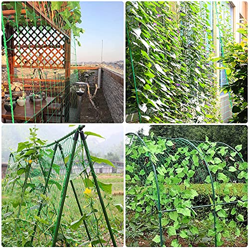 Trellis Netting, PDGROW Climbing Plant Support Net Garden Pea Bean Neting, Heavy-Duty PE Trellis Net for Cucumber, Tomato, Vegetables, Fruits, Sweet Pea Plants (6.6' x 16.4'Ft) - size: 6.6' x 16.4'