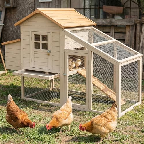 Amagabeli Chicken Wire Fencing 16in x 50ft Garden Netting Poultry Wire Hexagonal Galvanized Mesh Roll Fence Barrier for Raised Bed Cattle Panels for Plant Trellis Vegetable Dog Bird Pet Cage Craft - size: 1" 16"x50' + 100 Ties