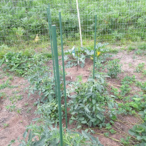 Garden Plant Stakes, 36 Inch 3Ft Steel Tomato Stakes, 25 Pack - size: 36 Inch
