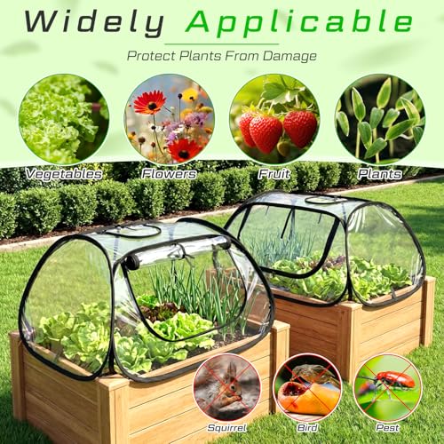 2 Pack Garden Covers for Raised Bed Foldable Clear PVC Greenhouse for Freeze Protection Row Plants Cover Accelerator with Zipper Door Black 32"x13"x14" Protection Vegetable Fruit from Animal - size: 32"x13"x14"