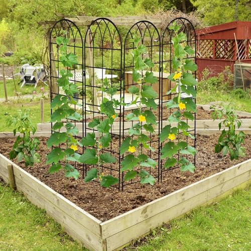 DoCred 4 Pack Garden Trellis for Climbing Plants, 71 Inch Metal Trellis - color: Black, size: 71''H x 20''W/4 Pack