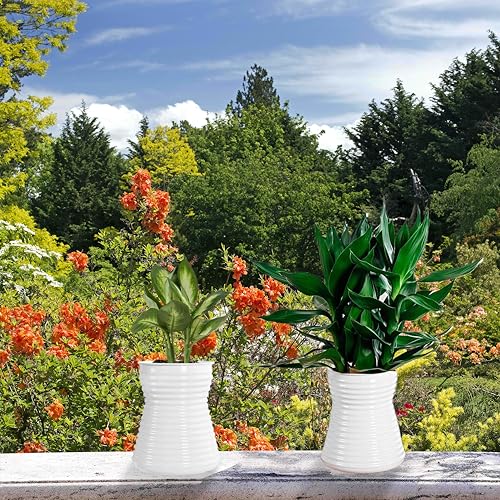2PCS Self Watering Planters 5.9 Inch Self Watering Pots for Indoor Plants, African Violet Pots with Wick Rope, Flowers, Succulents, Herb, House Plants - color: White 2